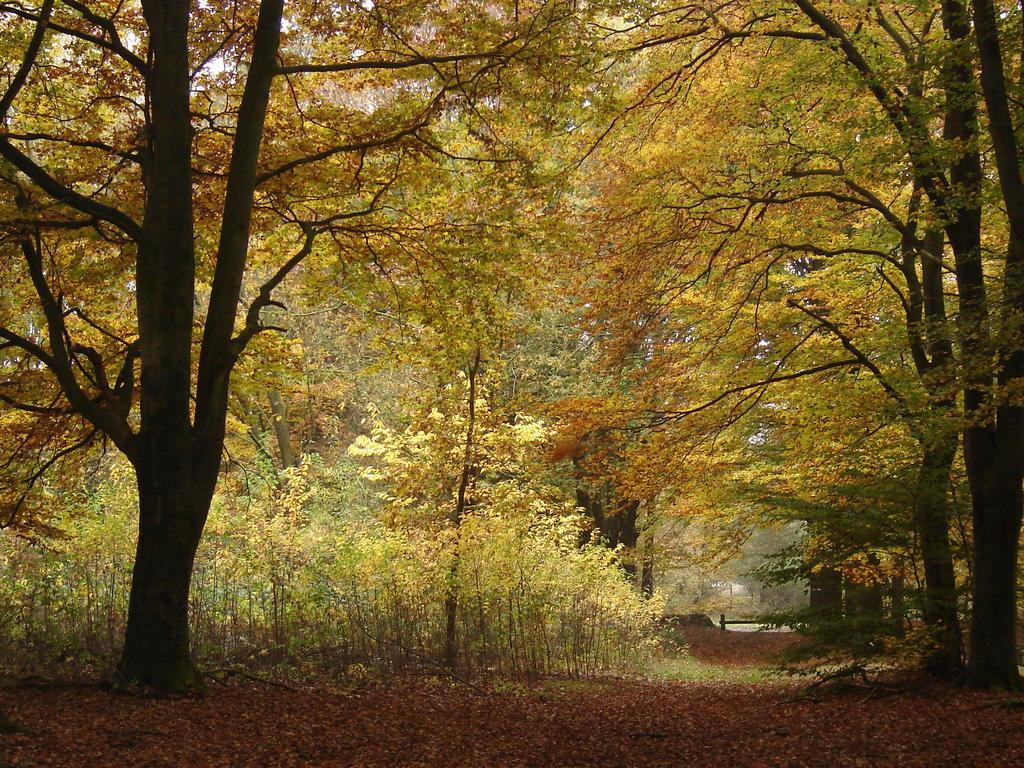 Hof Van Putten Extérieur photo
