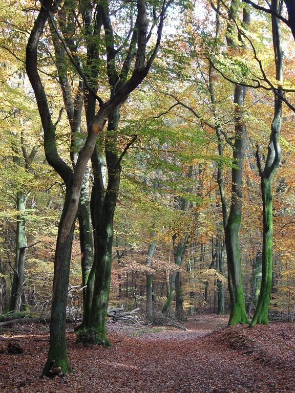 Hof Van Putten Extérieur photo